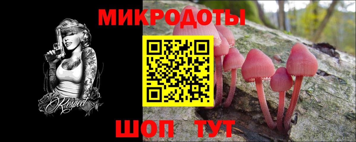 Псилоцибиновые грибы Cubensis  Галлюциногенные грибы GOLDEN TEACHER  Донецк  Вход с VPN 